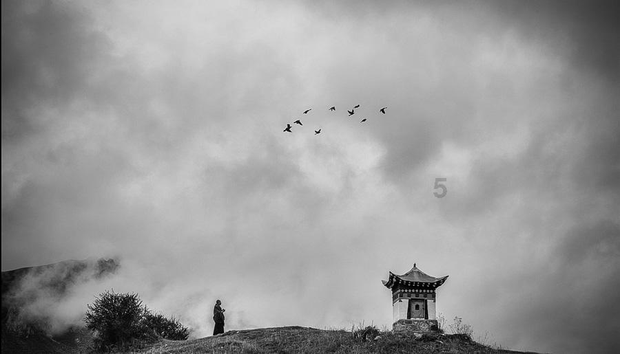 春雨直播app