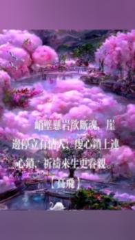 石家庄市裕华区裕华路街道举办“高校学子家乡行”政策宣讲座谈会